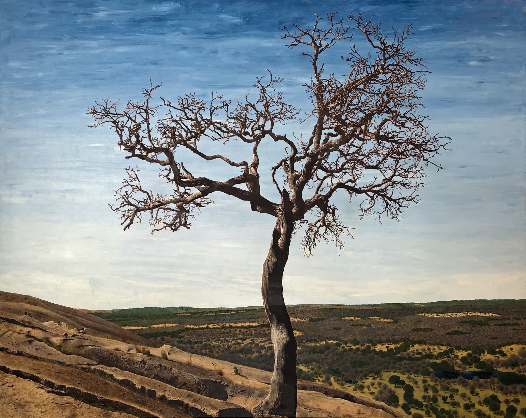 Enchanted Tree, a painting of a solitary tree under a wide blue sky